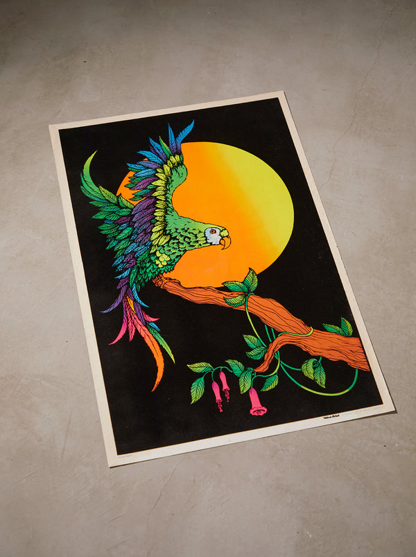 琉球藍染ポスターフレーム W660 x H960(レジン/木製) x Vintage Black Light Poster【PARROT】