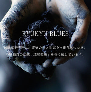 <The Inoue Brothers...> RYUKYU BLUES PROJECT