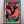 Ryukyu Indigo Dye Poster Frame W660 x H960 (Resin/Wood) x Vintage Black Light Poster [COUNT DRACURA]